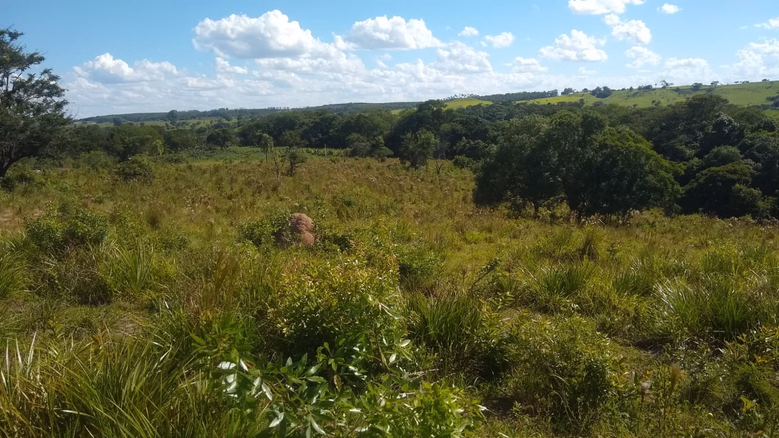 Small farm of 57 acres in Angatuba, SP, Brazil
