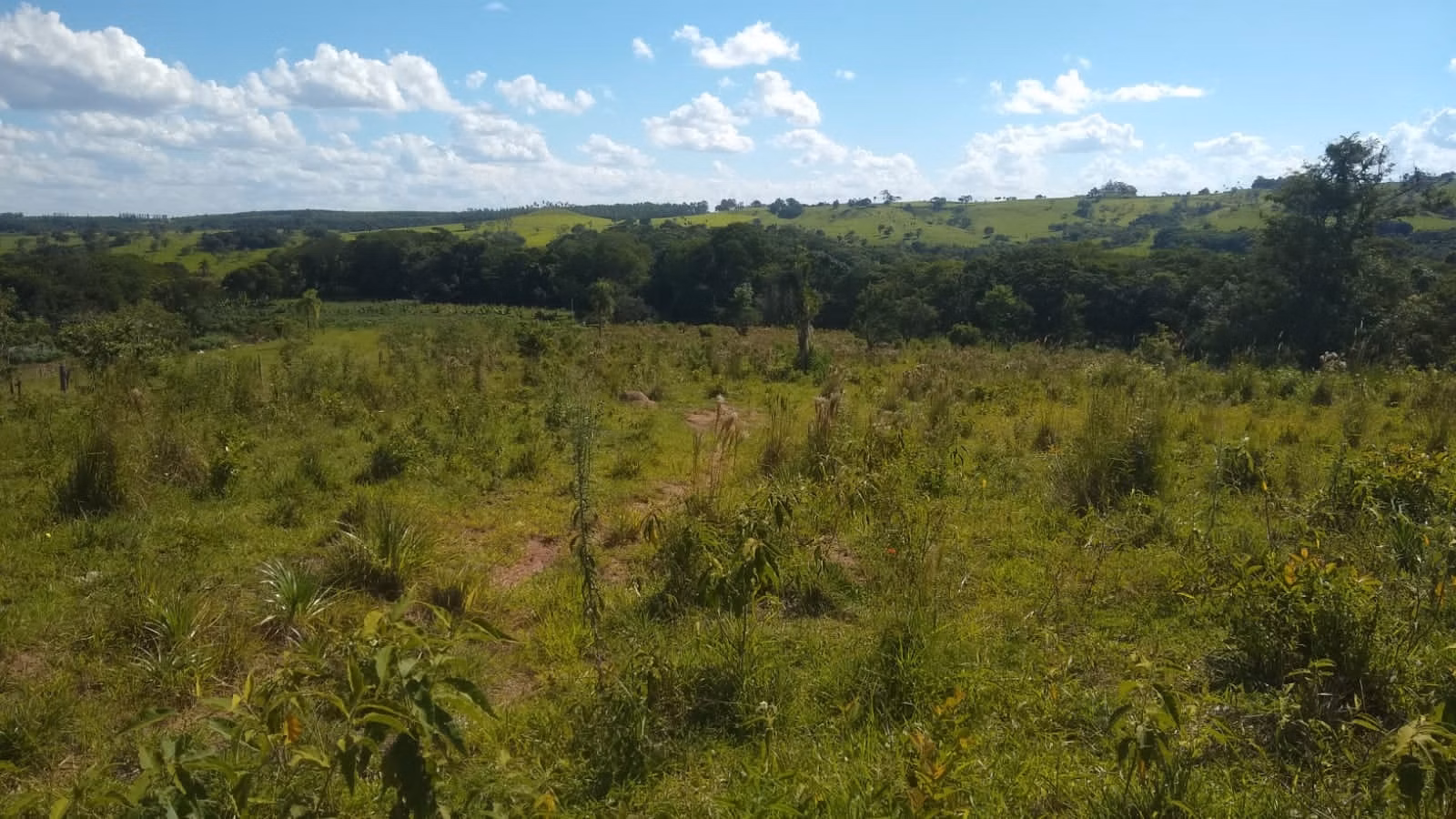 Small farm of 57 acres in Angatuba, SP, Brazil