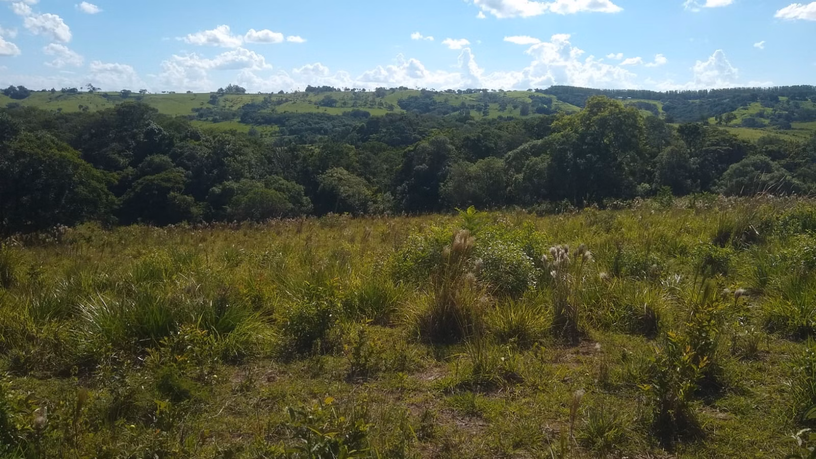 Small farm of 57 acres in Angatuba, SP, Brazil