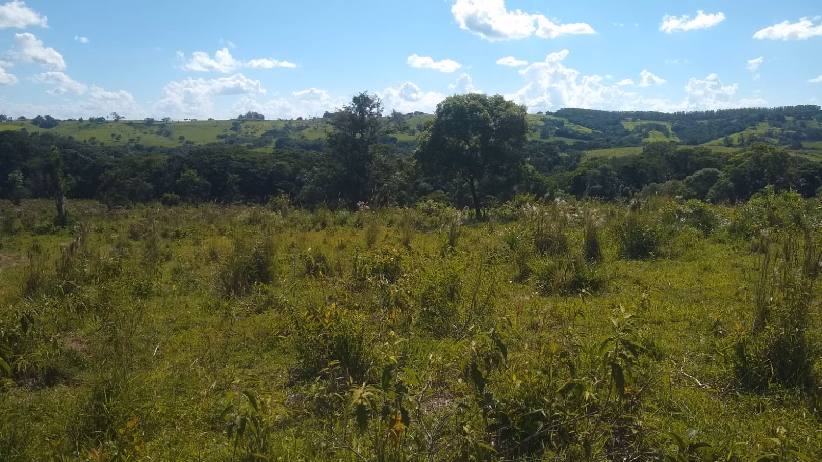 Small farm of 57 acres in Angatuba, SP, Brazil