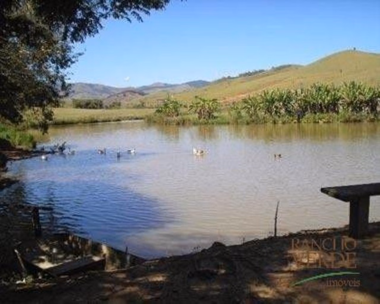 Fazenda de 242 ha em Canas, SP