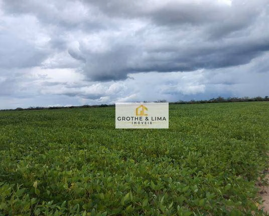 Fazenda de 11.000 ha em São José do Peixe, PI