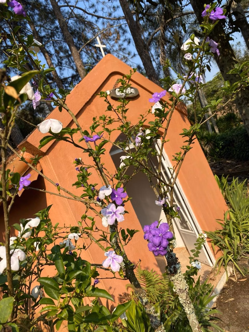 Sítio de 5 ha em Santa Isabel, SP