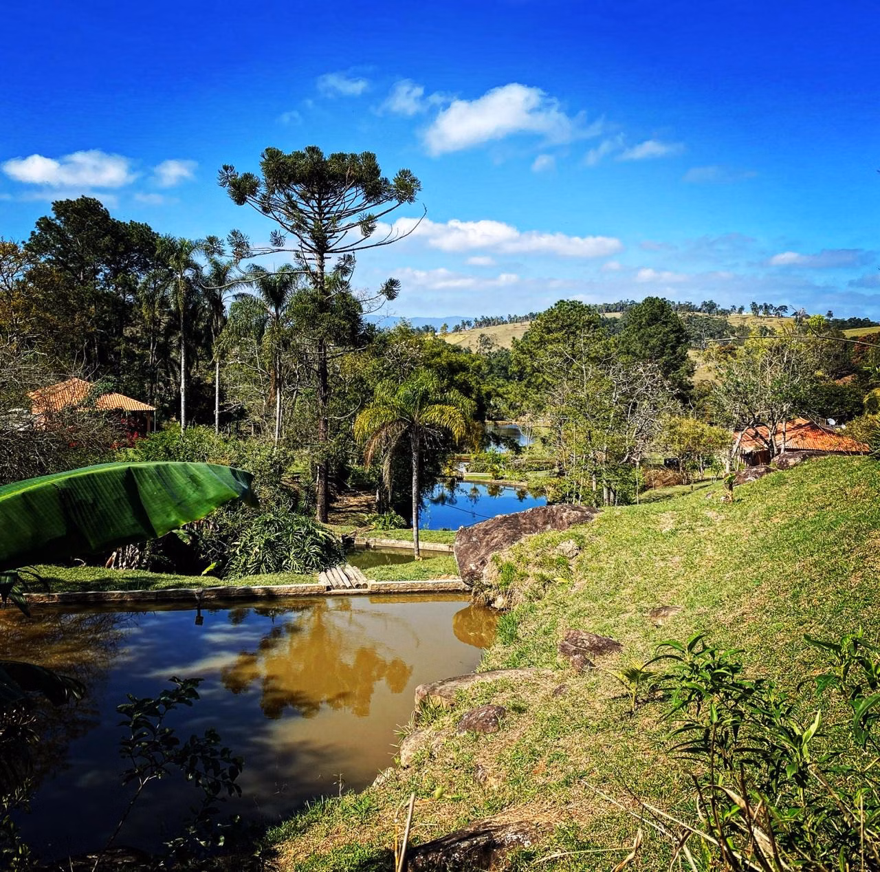 Small farm of 13 acres in Santa Isabel, SP, Brazil