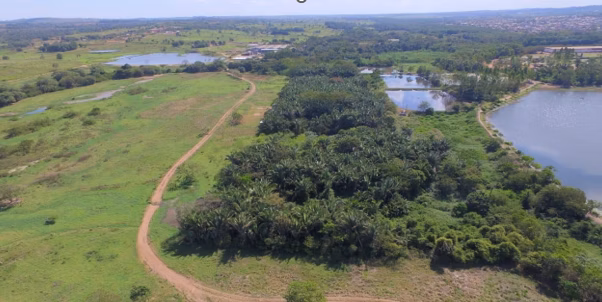 Terreno à venda de 81.373 ha em Xinguara, PA