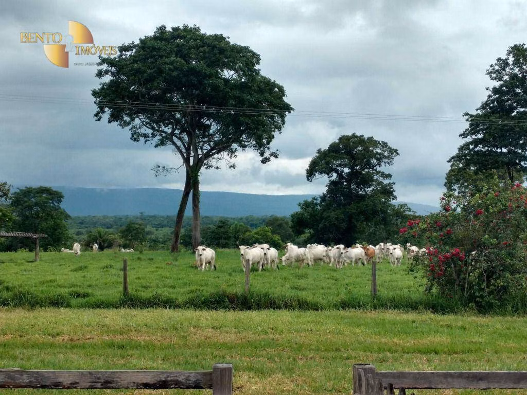 Fazenda de 3.025 ha em Cáceres, MT