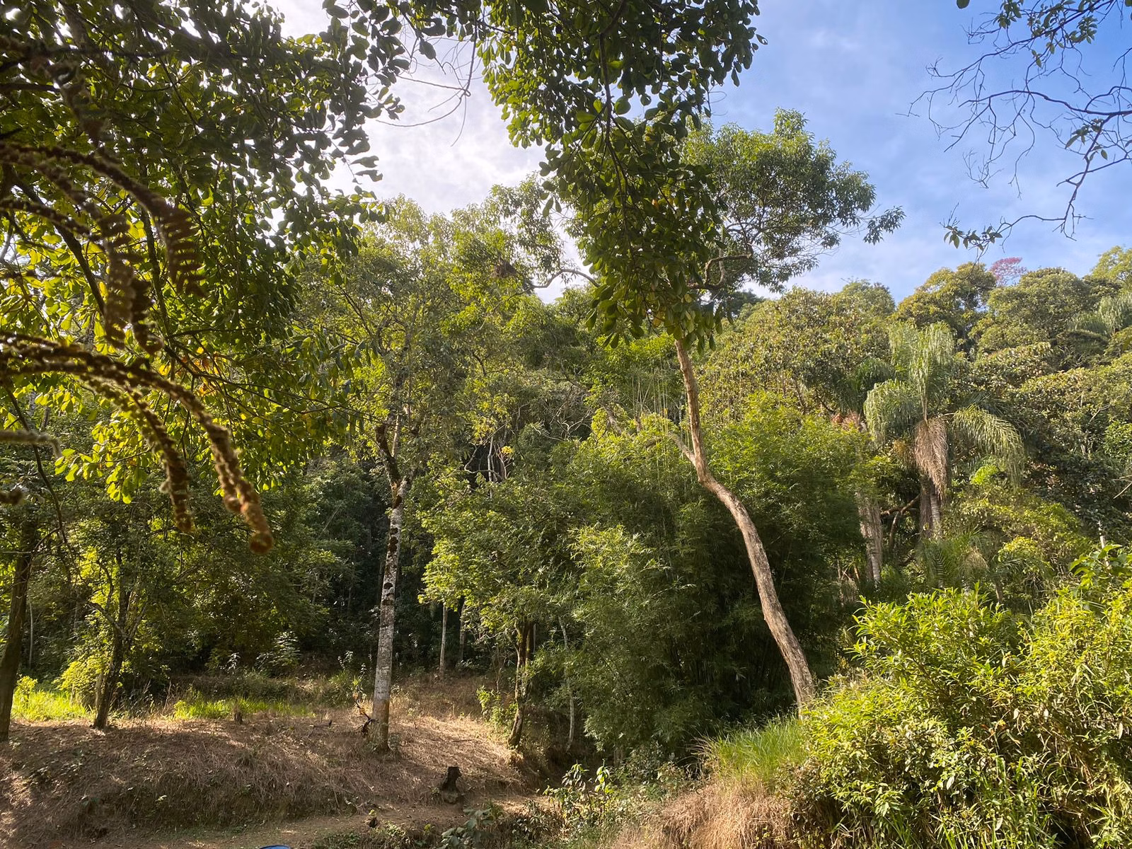 Country home of 2 acres in São José dos Campos, SP, Brazil