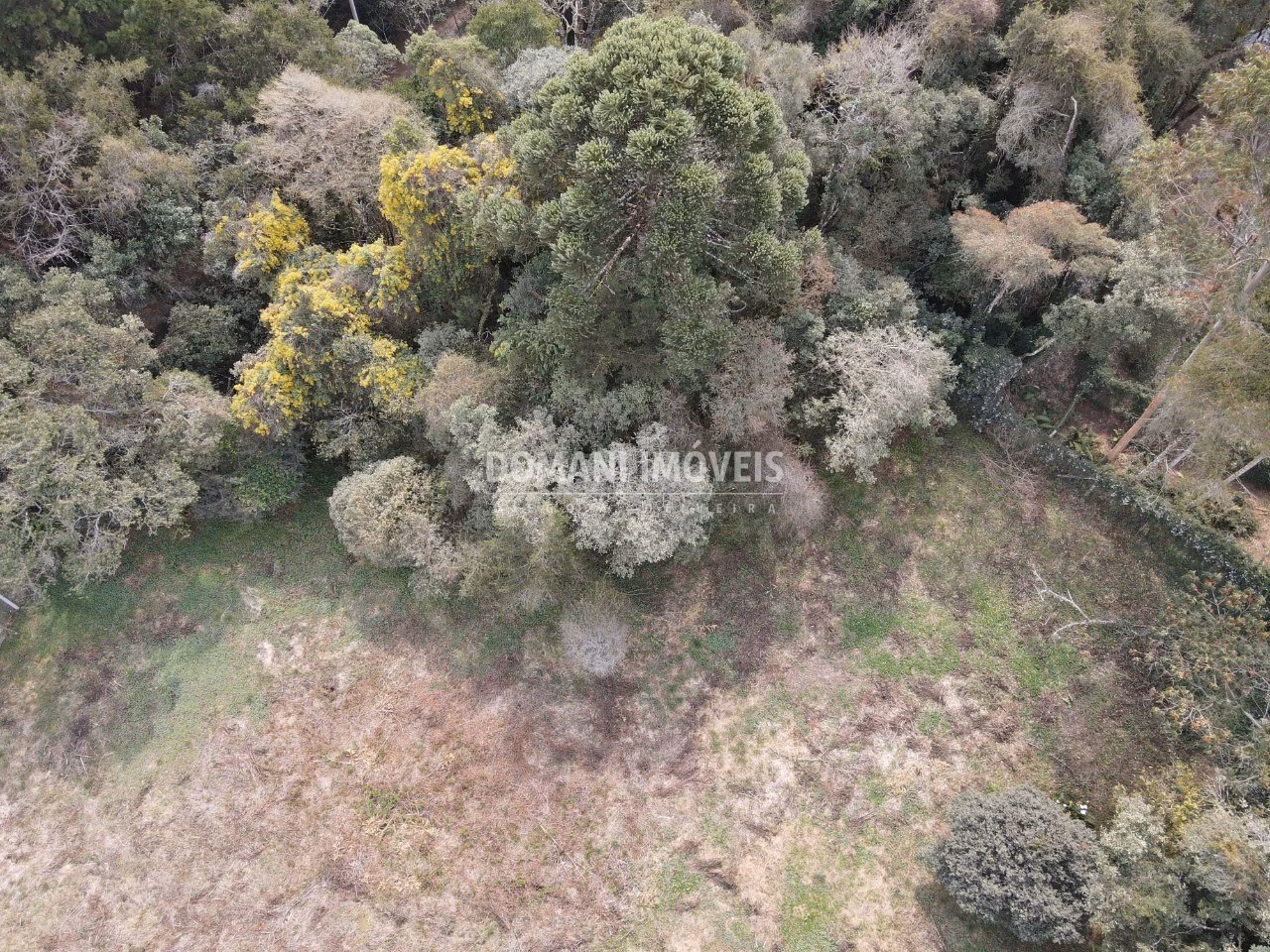 Plot of 1,200 m² in Campos do Jordão, SP, Brazil