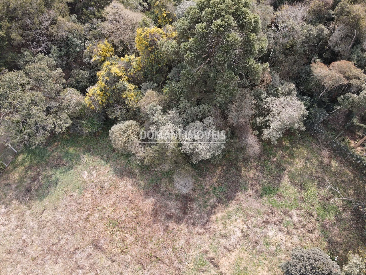 Plot of 1,200 m² in Campos do Jordão, SP, Brazil