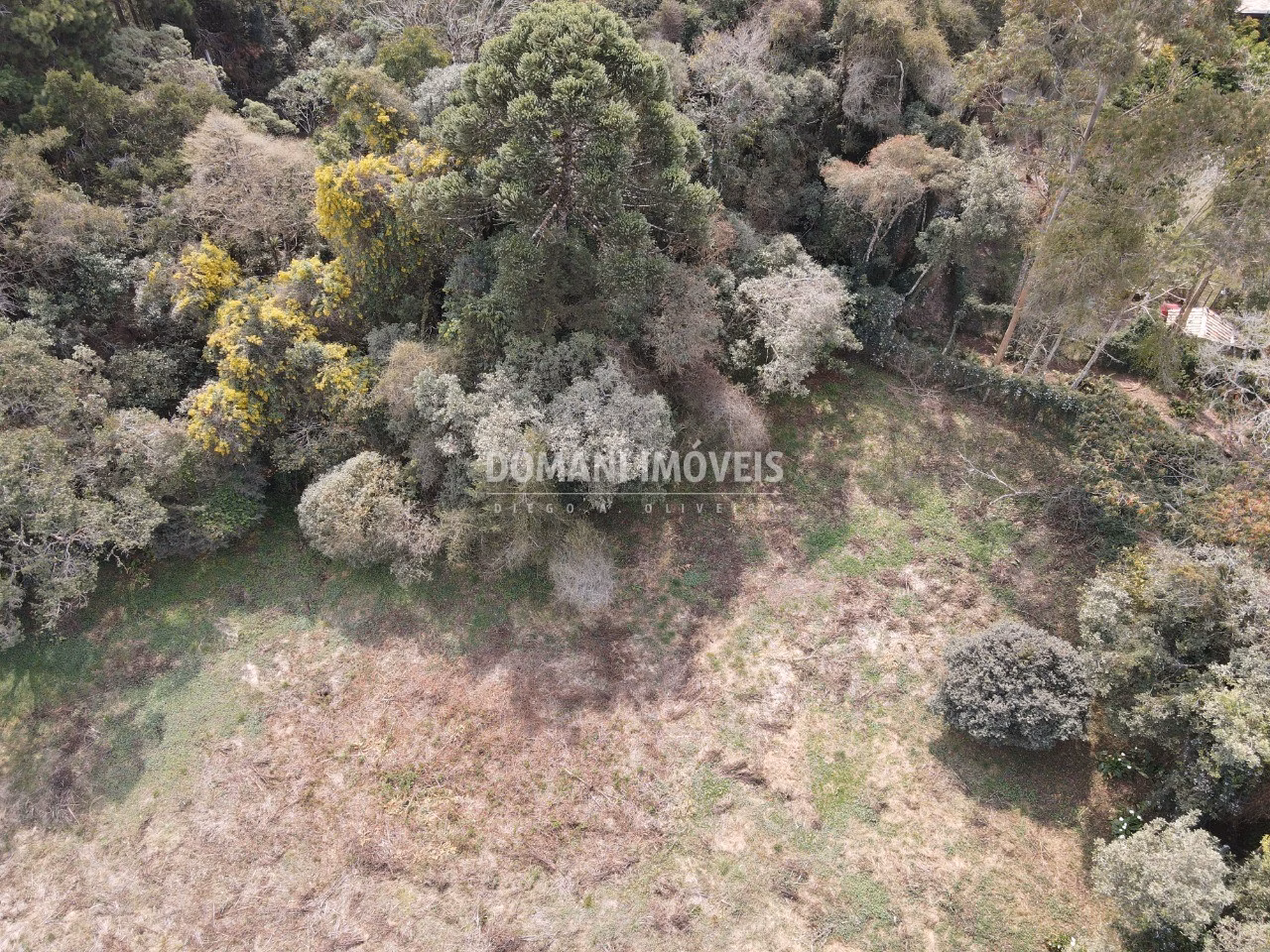 Plot of 1,200 m² in Campos do Jordão, SP, Brazil