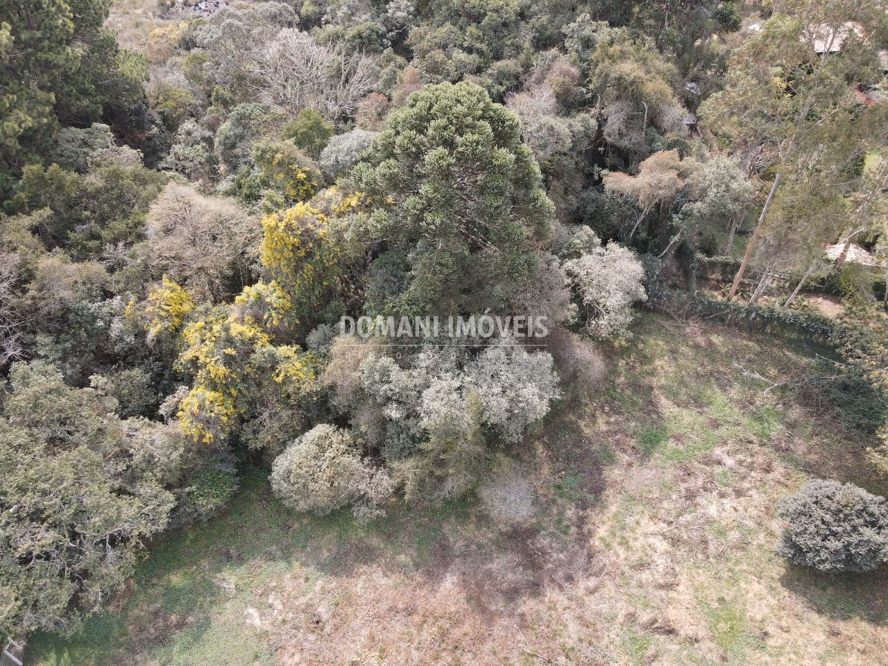 Plot of 1,200 m² in Campos do Jordão, SP, Brazil