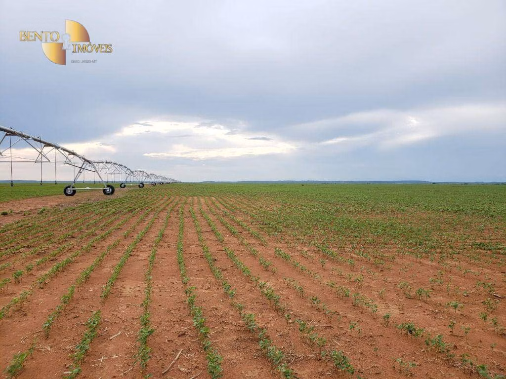 Fazenda de 11.055 ha em Água Boa, MT
