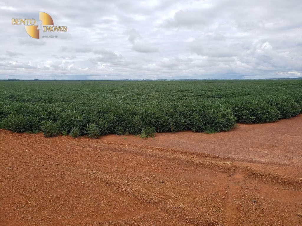 Fazenda de 11.055 ha em Água Boa, MT