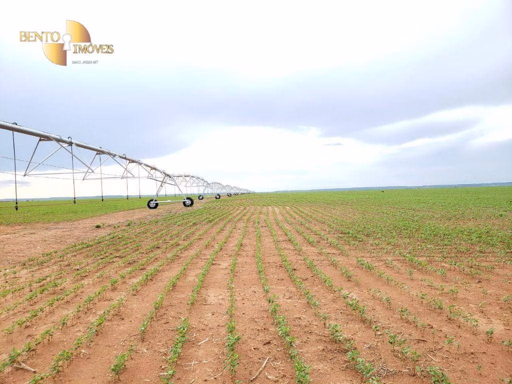 Fazenda de 11.055 ha em Água Boa, MT