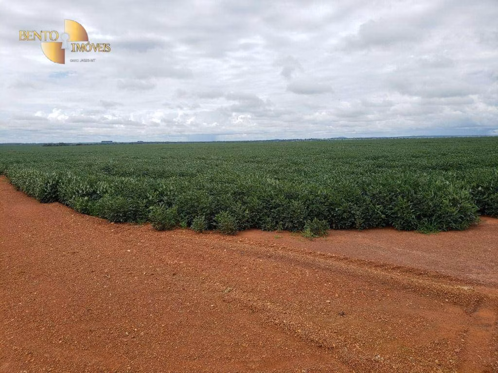 Fazenda de 11.055 ha em Água Boa, MT