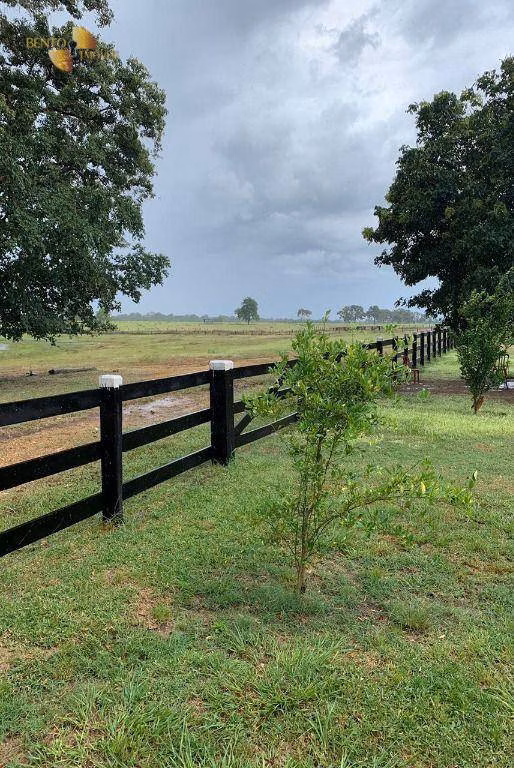 Fazenda de 330 ha em Poconé, MT