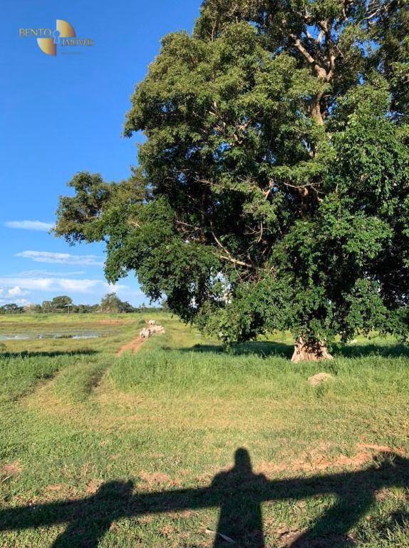 Fazenda de 330 ha em Poconé, MT