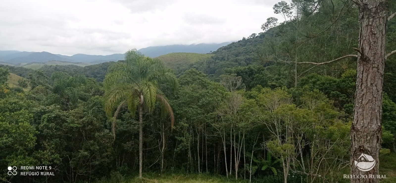 Farm of 477 acres in São José dos Campos, SP, Brazil