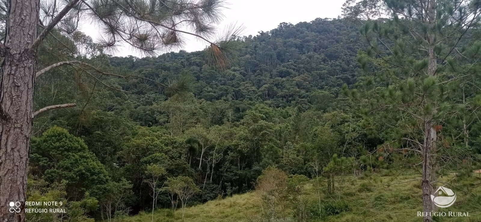 Farm of 477 acres in São José dos Campos, SP, Brazil