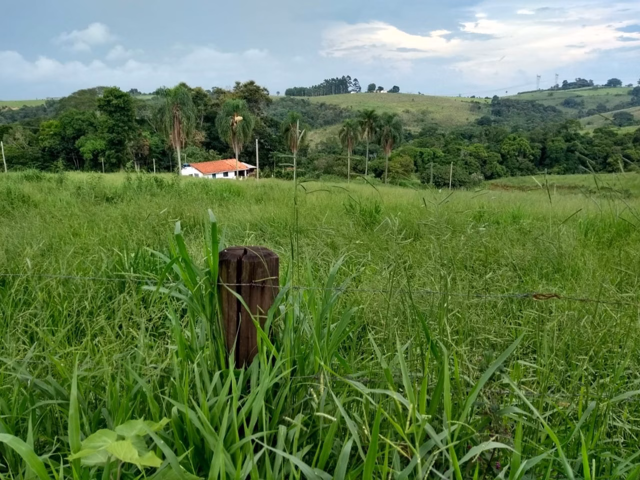 Sítio de 41 ha em Itapetininga, SP