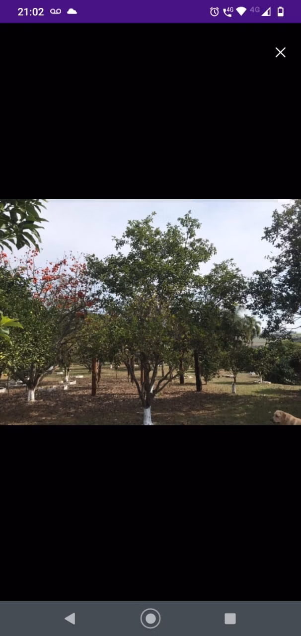 Sítio de 41 ha em Itapetininga, SP