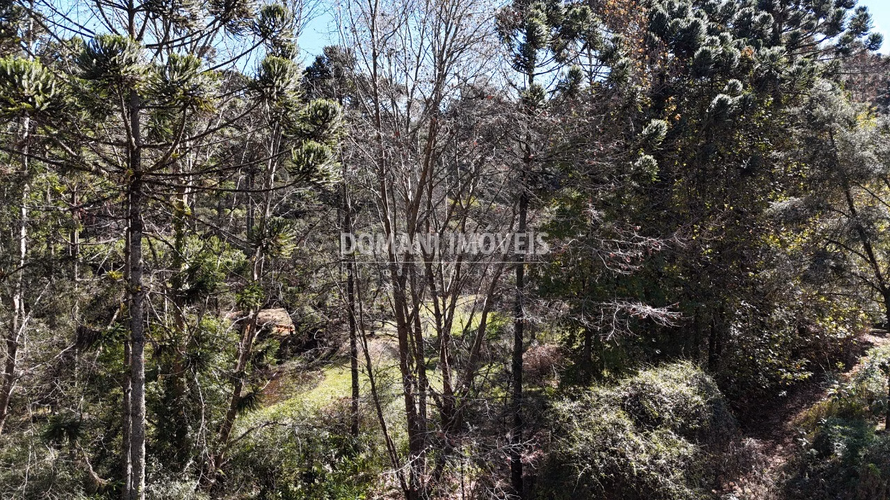 House of 875 m² in Campos do Jordão, SP, Brazil