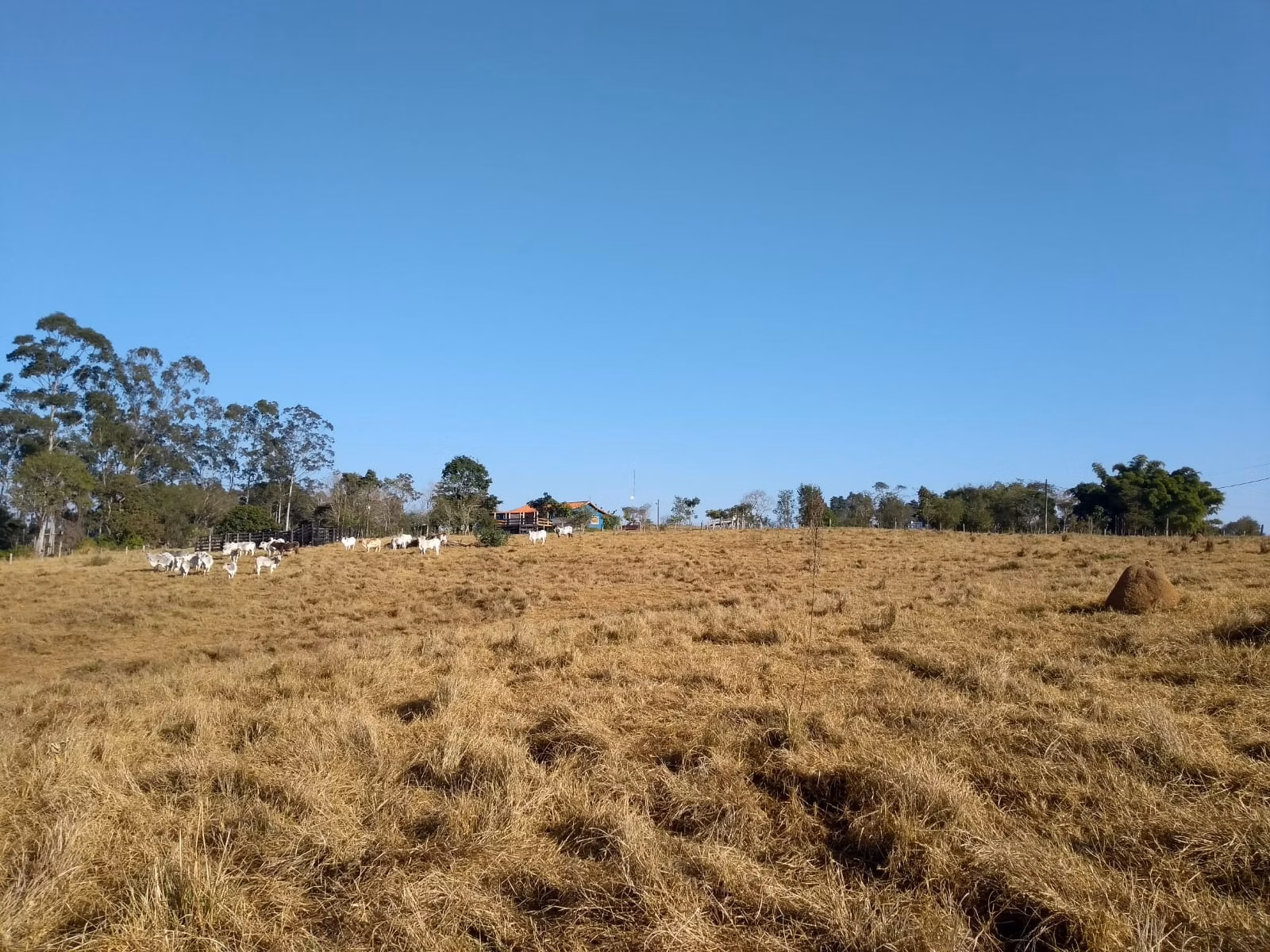 Sítio de 34 ha em Angatuba, SP