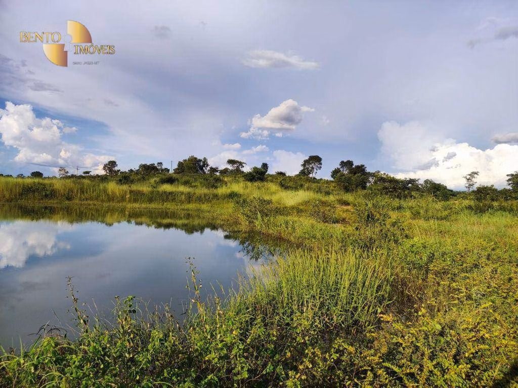 Fazenda de 201 ha em Nossa Senhora do Livramento, MT