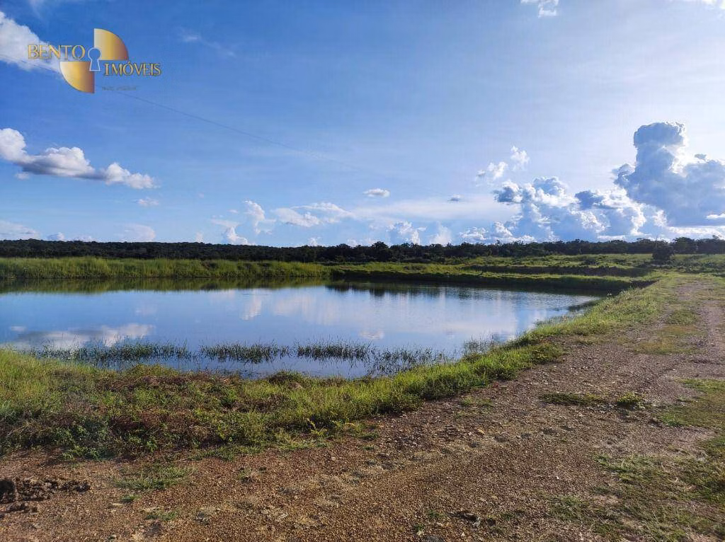 Fazenda de 201 ha em Nossa Senhora do Livramento, MT
