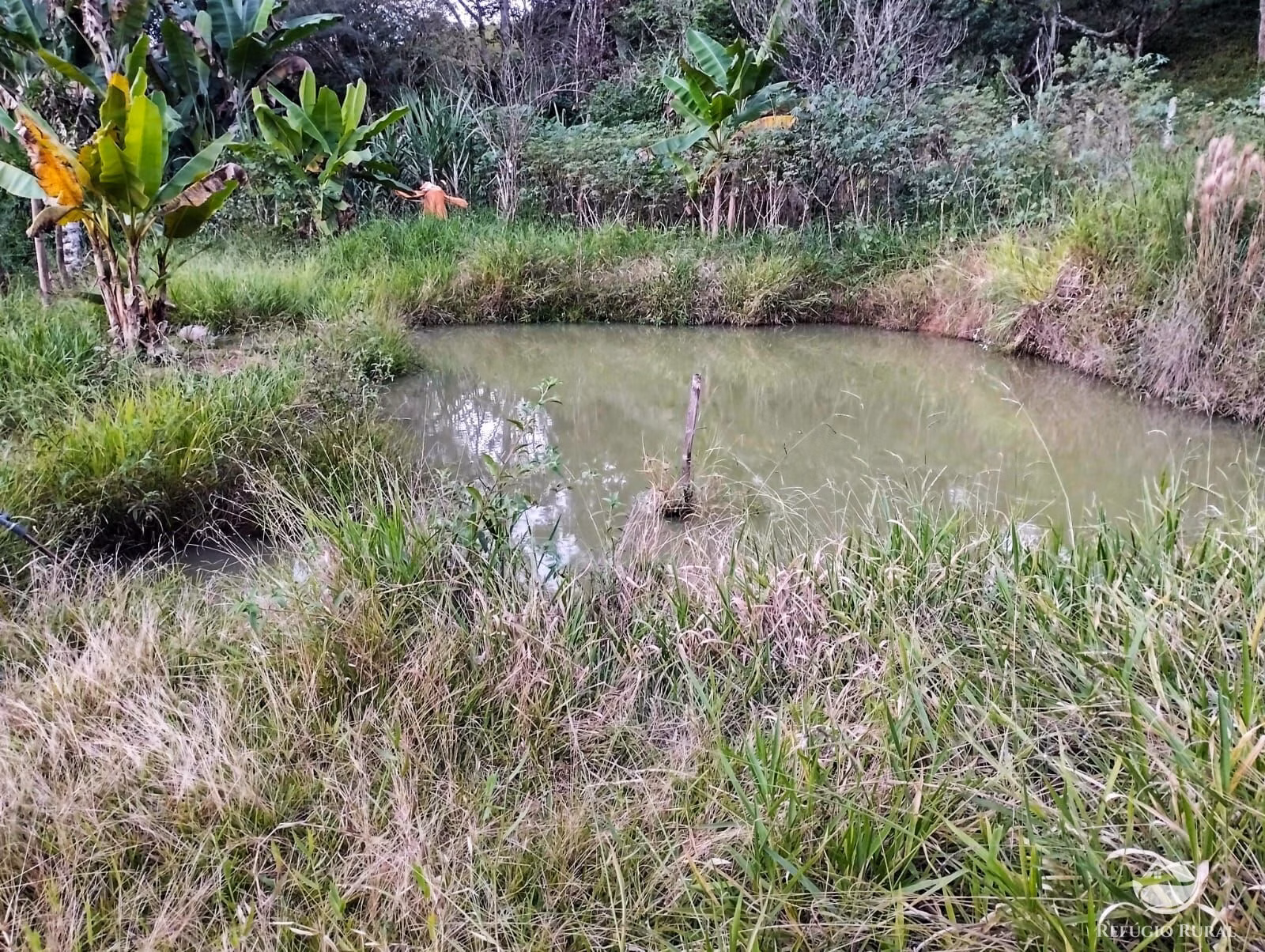 Sítio de 24 ha em Igaratá, SP