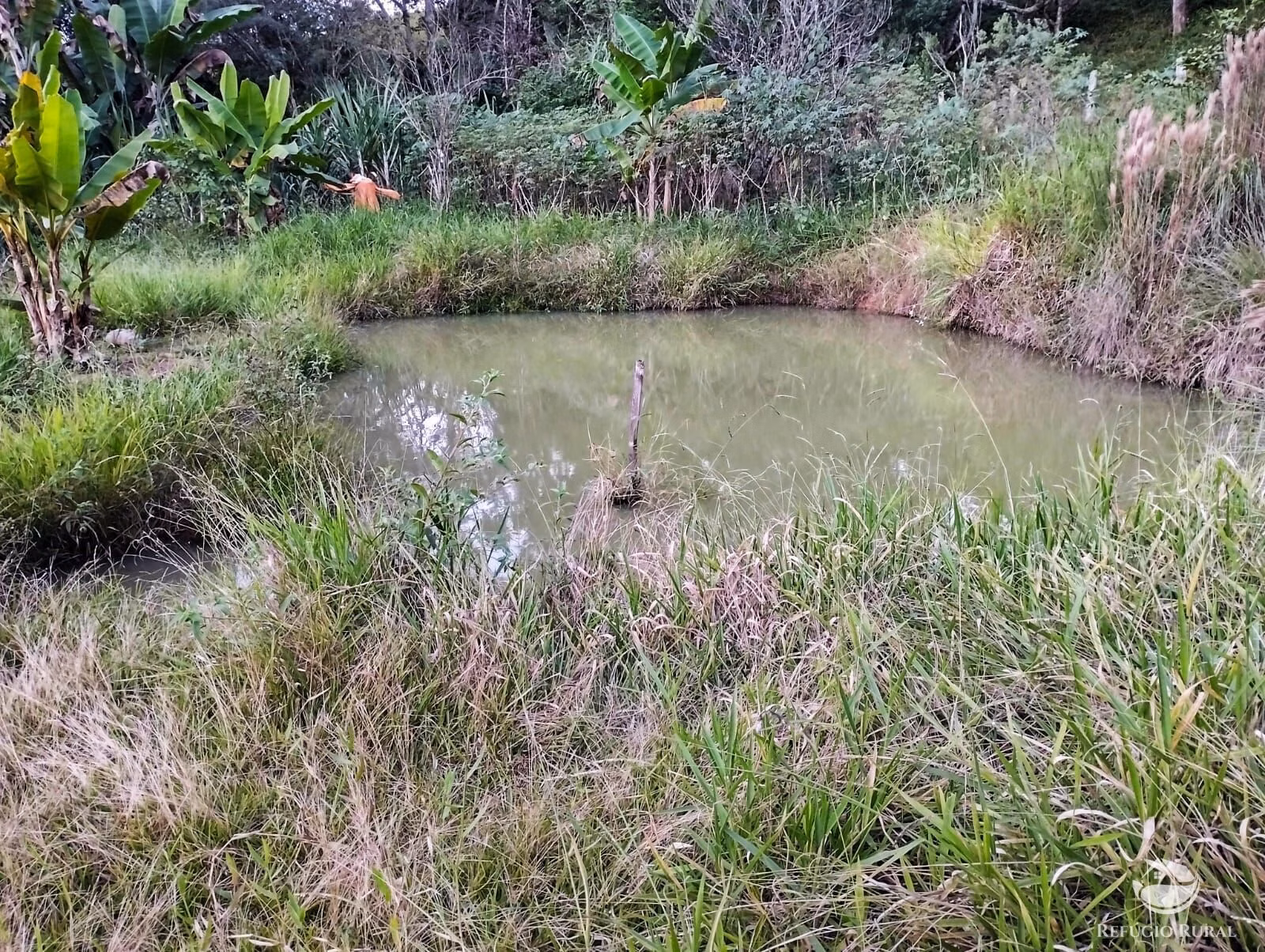 Sítio de 24 ha em Igaratá, SP