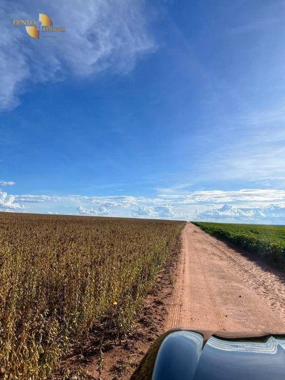 Fazenda de 4.525 ha em Diamantino, MT