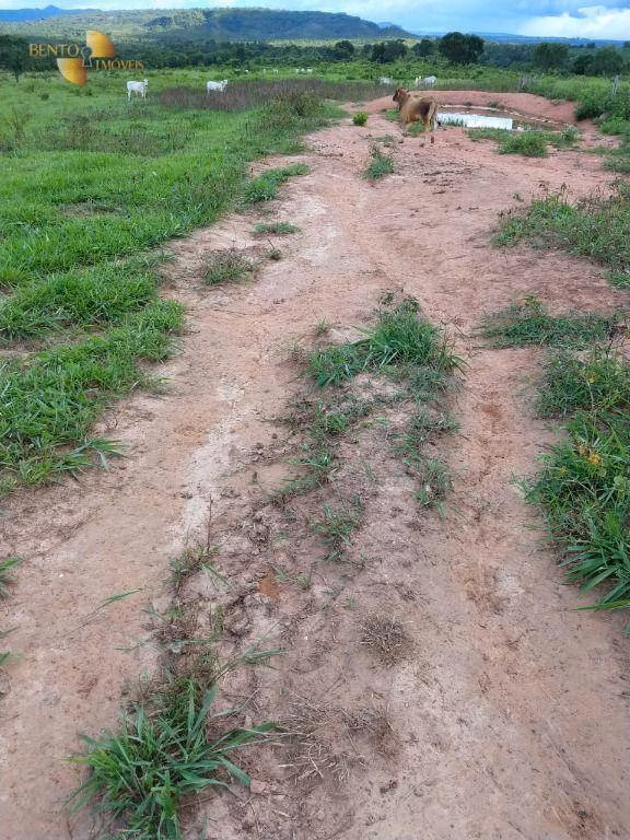 Fazenda de 2.243 ha em Tesouro, MT