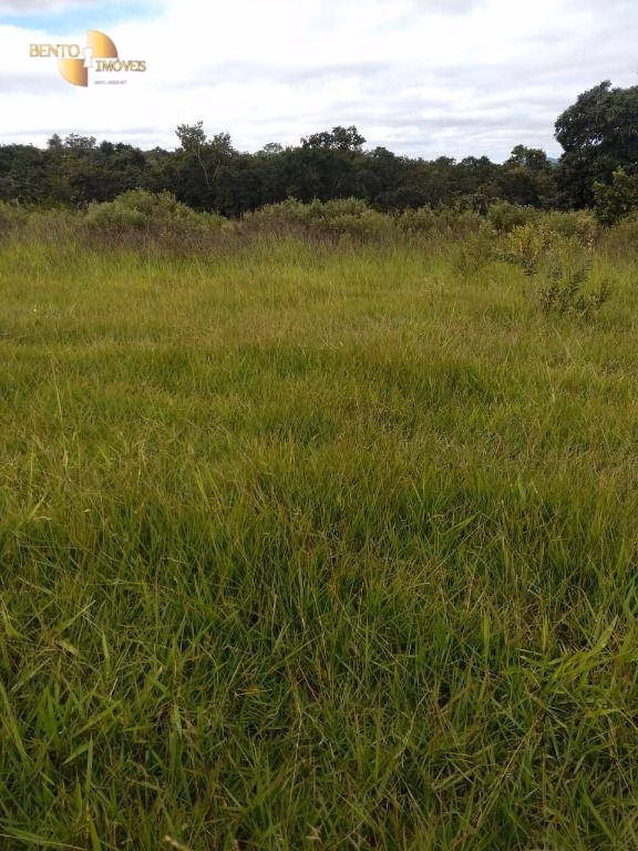 Fazenda de 2.243 ha em Tesouro, MT