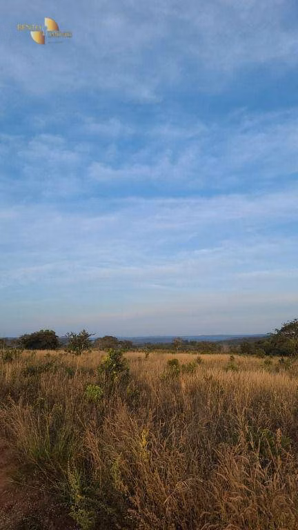 Fazenda de 2.243 ha em Tesouro, MT