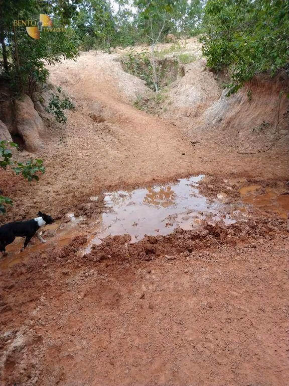 Fazenda de 2.243 ha em Tesouro, MT