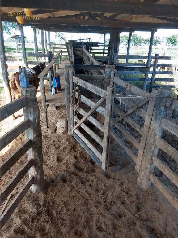 Fazenda de 2.243 ha em Tesouro, MT
