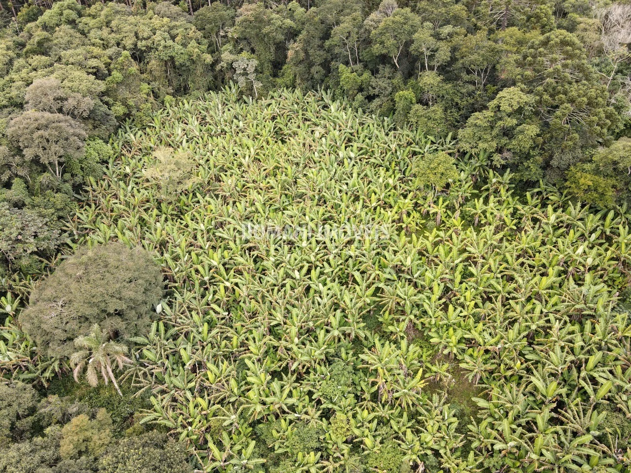 Plot of 2.600 m² in Campos do Jordão, SP, Brazil