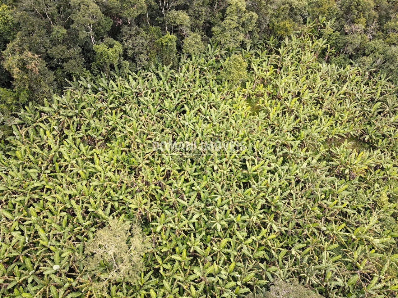 Plot of 2.600 m² in Campos do Jordão, SP, Brazil