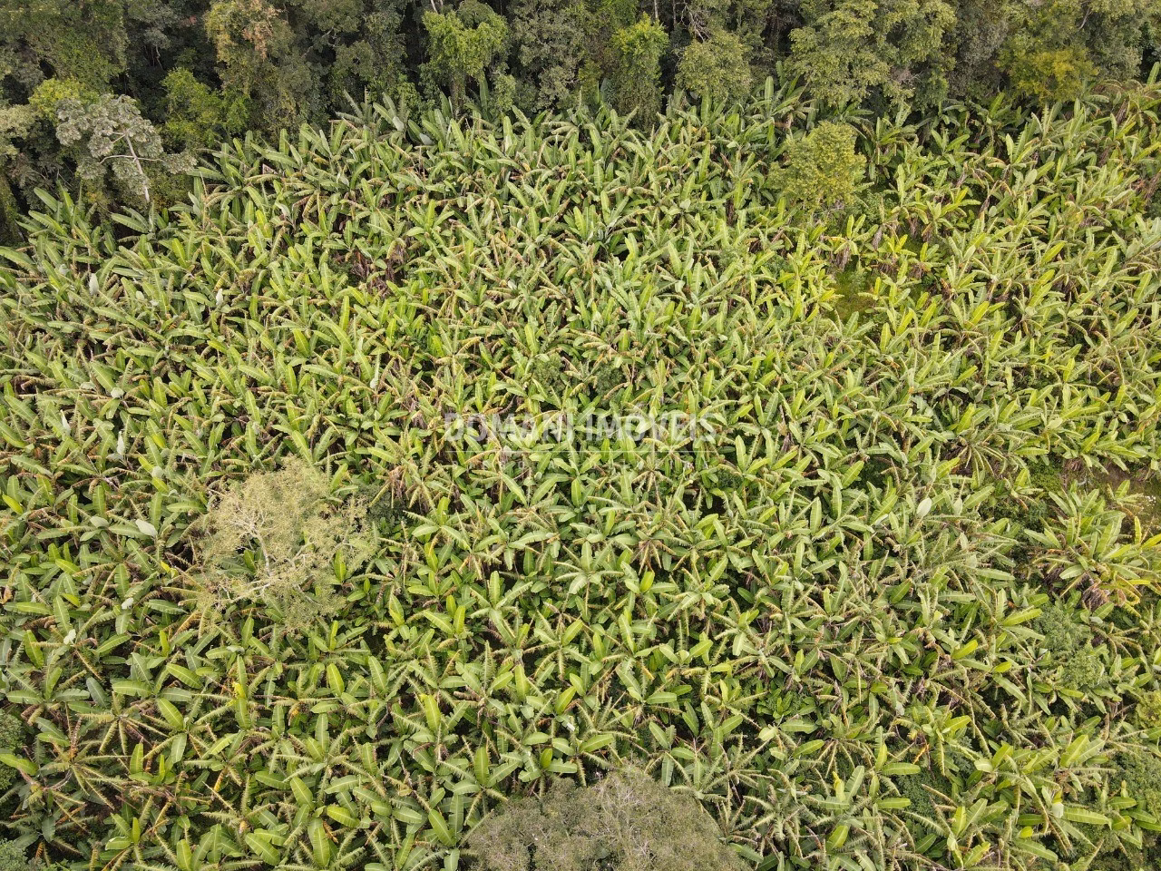 Plot of 2.600 m² in Campos do Jordão, SP, Brazil