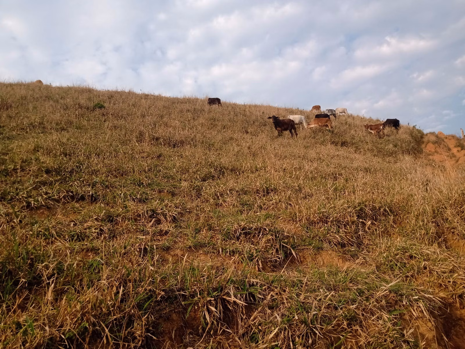 Terreno de 19 ha em São José dos Campos, SP