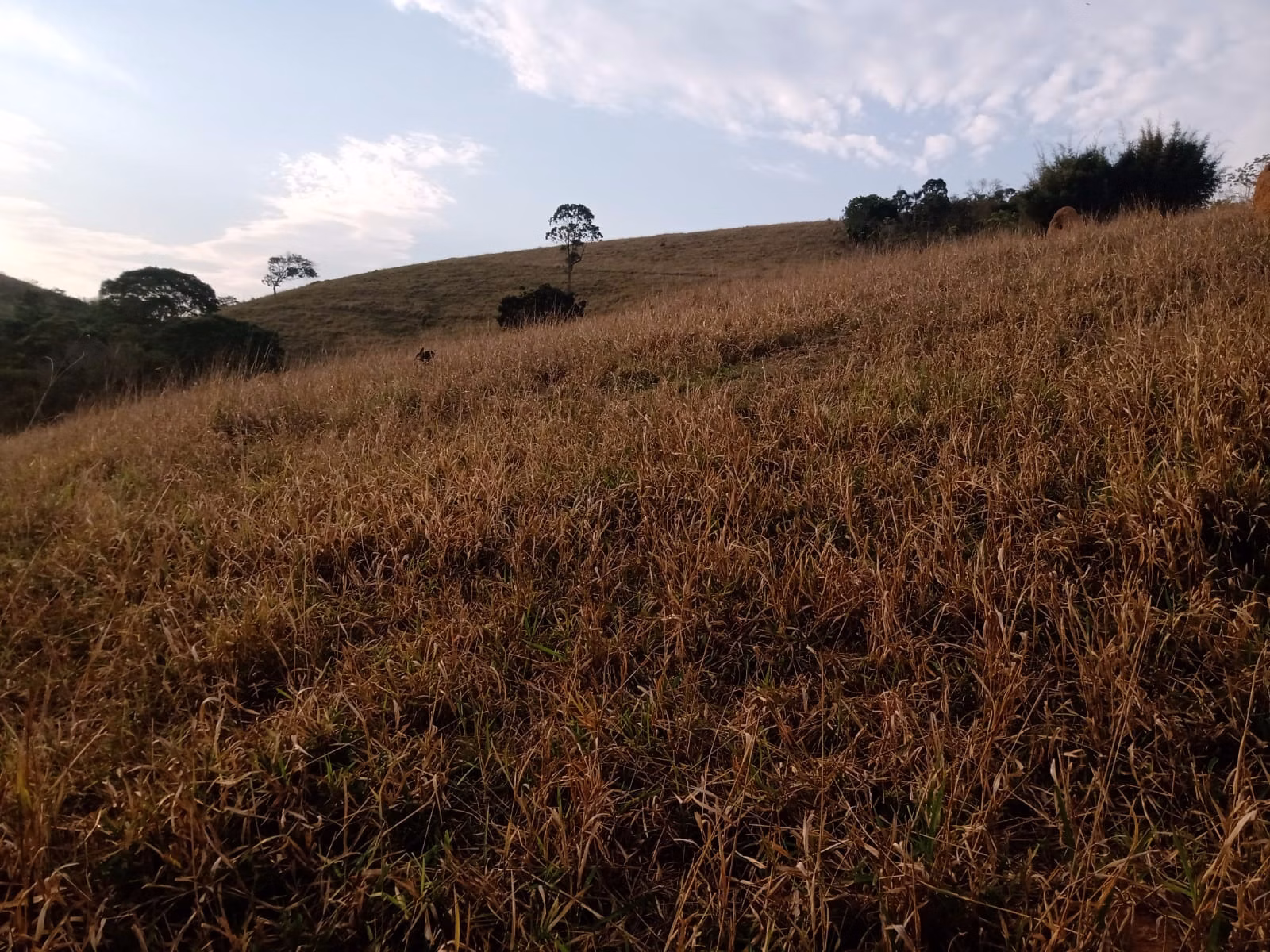 Plot of 48 acres in São José dos Campos, SP, Brazil