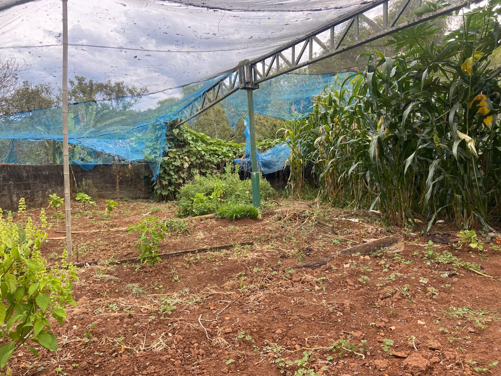 Country home of 2 acres in Cunha, SP, Brazil
