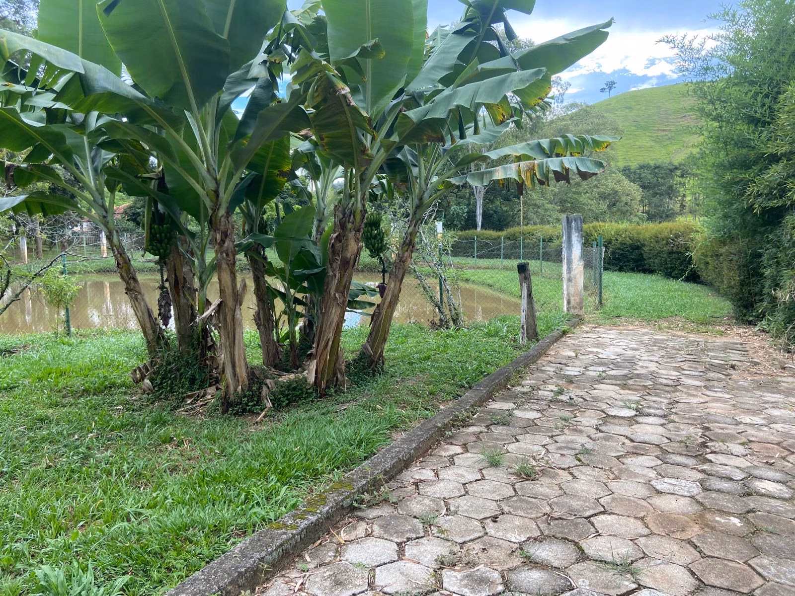 Chácara de 7.000 m² em Cunha, SP