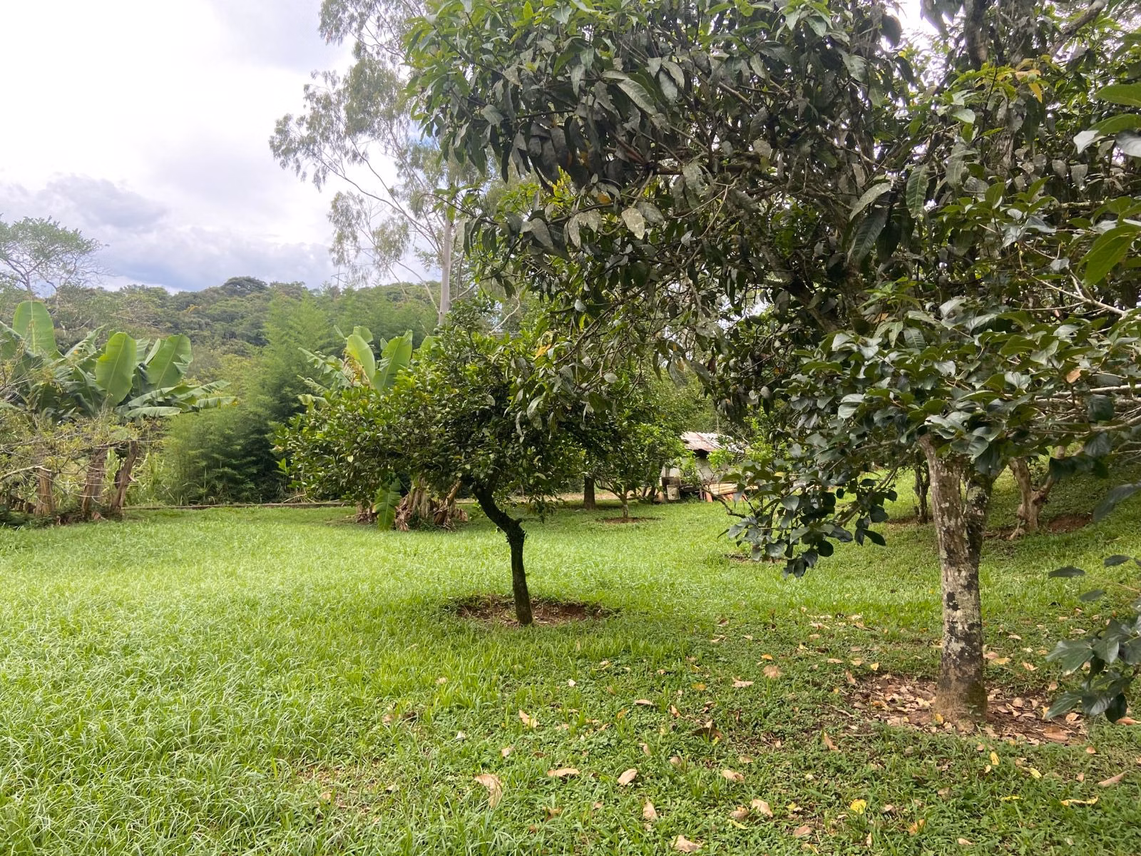 Country home of 2 acres in Cunha, SP, Brazil