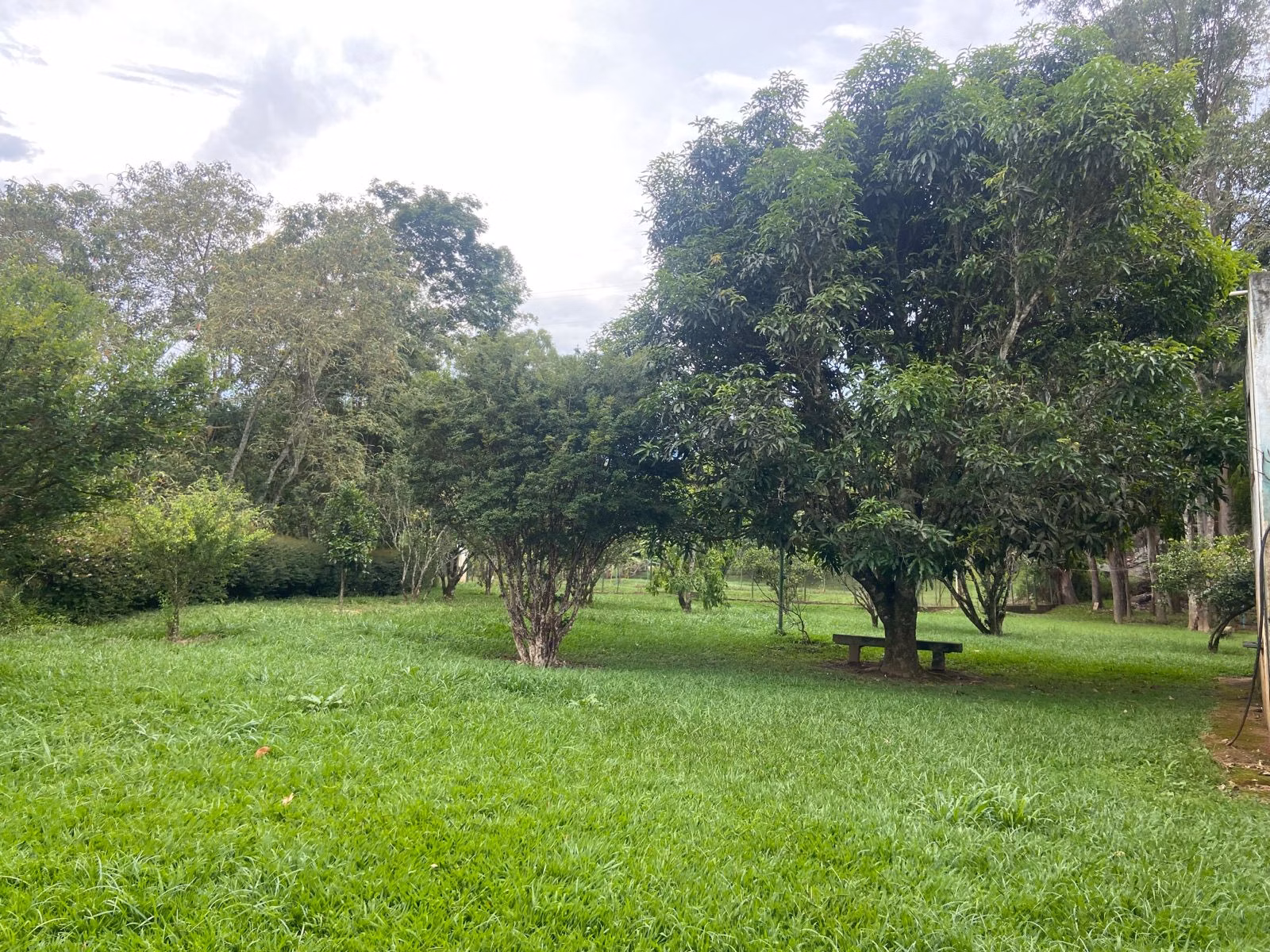 Chácara de 7.000 m² em Cunha, SP
