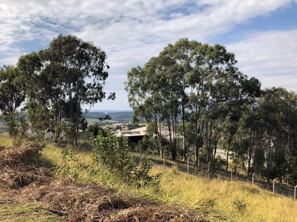 Terreno de 1.443 m² em Pouso Alegre, MG