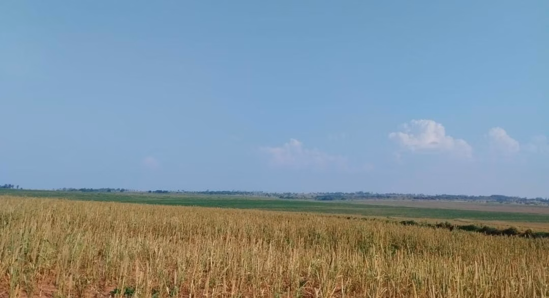 Fazenda de 2.105 ha em Teodoro Sampaio, SP