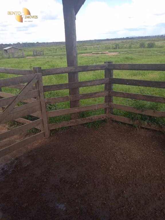 Fazenda de 884 ha em Marcelândia, MT