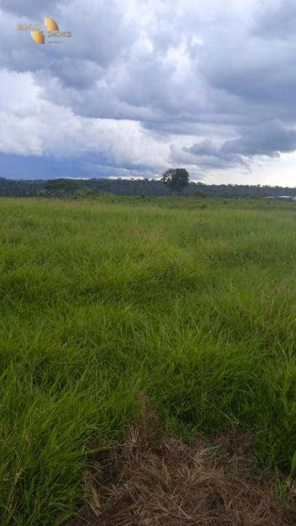 Fazenda de 884 ha em Marcelândia, MT